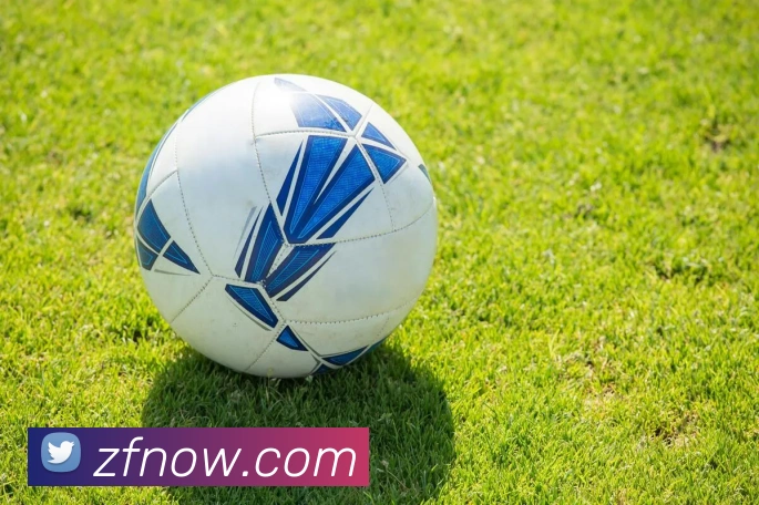 九游会官网APP 封面图